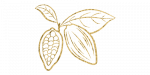 Cacao gold
