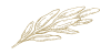 Salbei gold